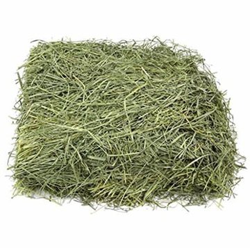 Fresh Barley Straw Bales for Animal Feed Supplement at Wholesale Price