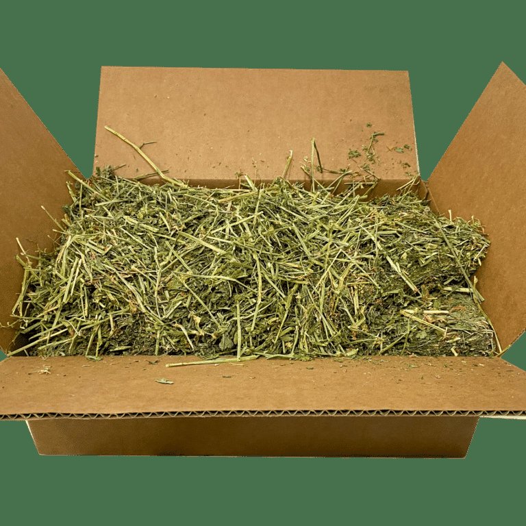 Cheap best selling Alfalfa Hay for Animal Feeding wholesale price Alfalfa Hay