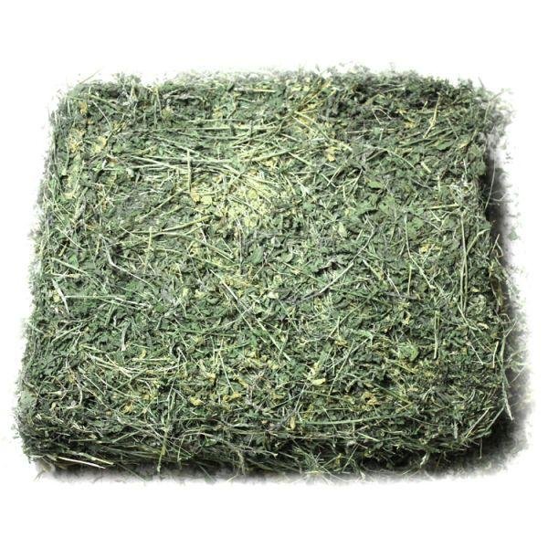 Cheap best selling Alfalfa Hay for Animal Feeding wholesale price Alfalfa Hay