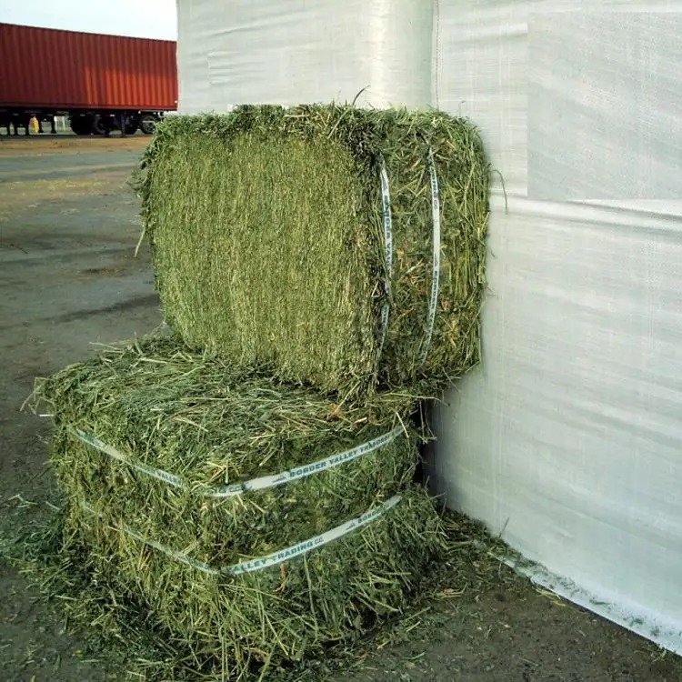 Best manufacture Alfafa Hay For Animal Feed Alfalfa