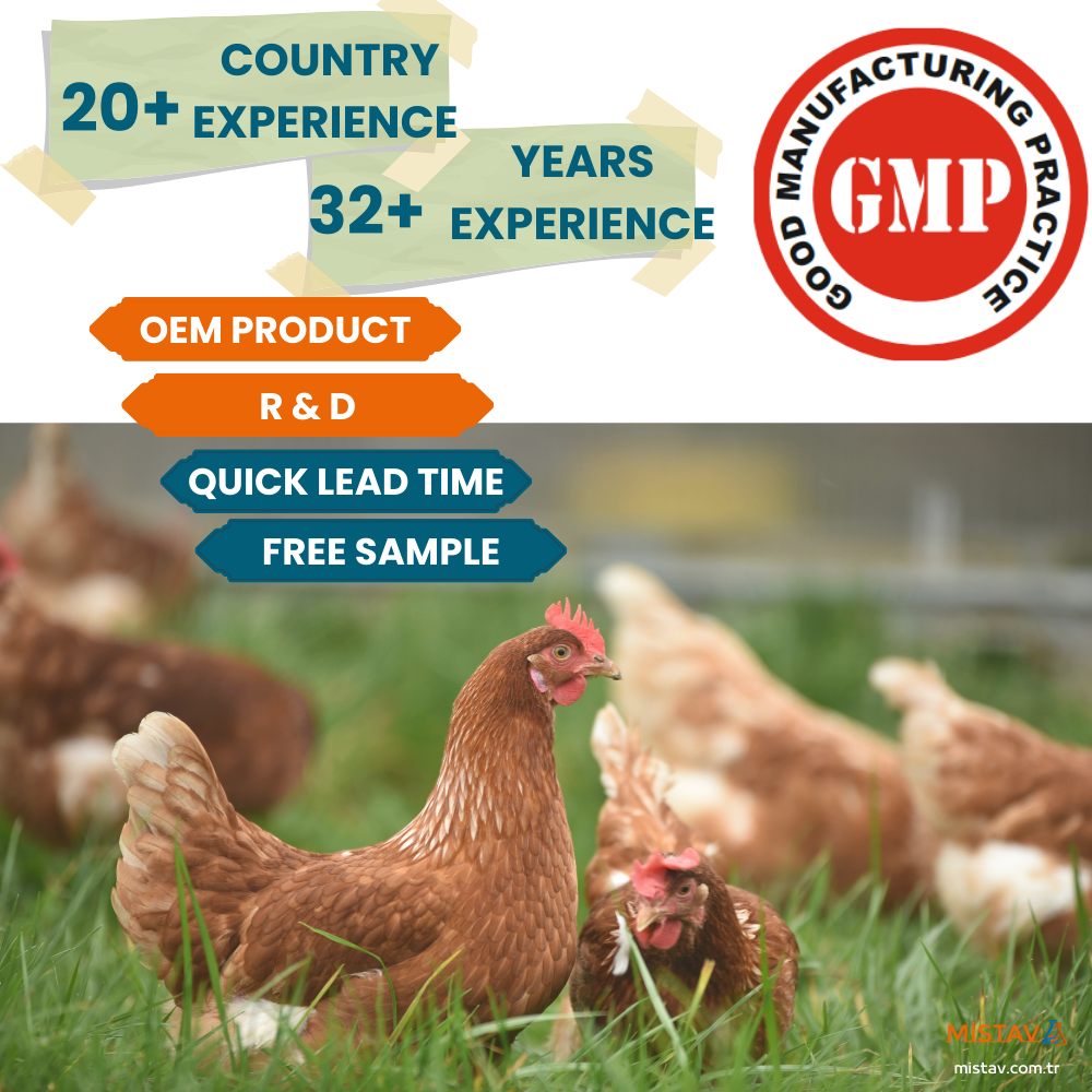 Private Label OEM Product Wholesale STOPSTRES Powder Oral Solution Feed Additive for Poultry Cattle Horses Calves Sheep