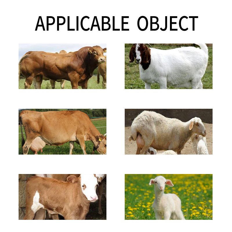 A feed additive for enhancing the bones of cattle, sheep, and livestock
