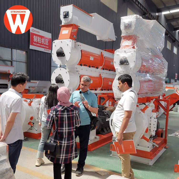 Stable working automatic animal feed pelletizer machine horse feed pellet making machine for livestock feed