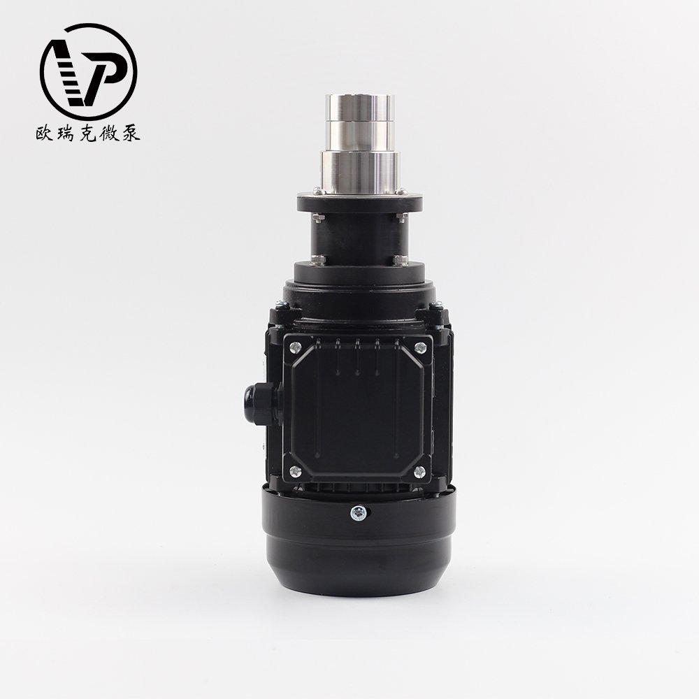 Manufactures professional DC brushless motor magnetic chemical mini stainless high pressure gear pump high performance stable