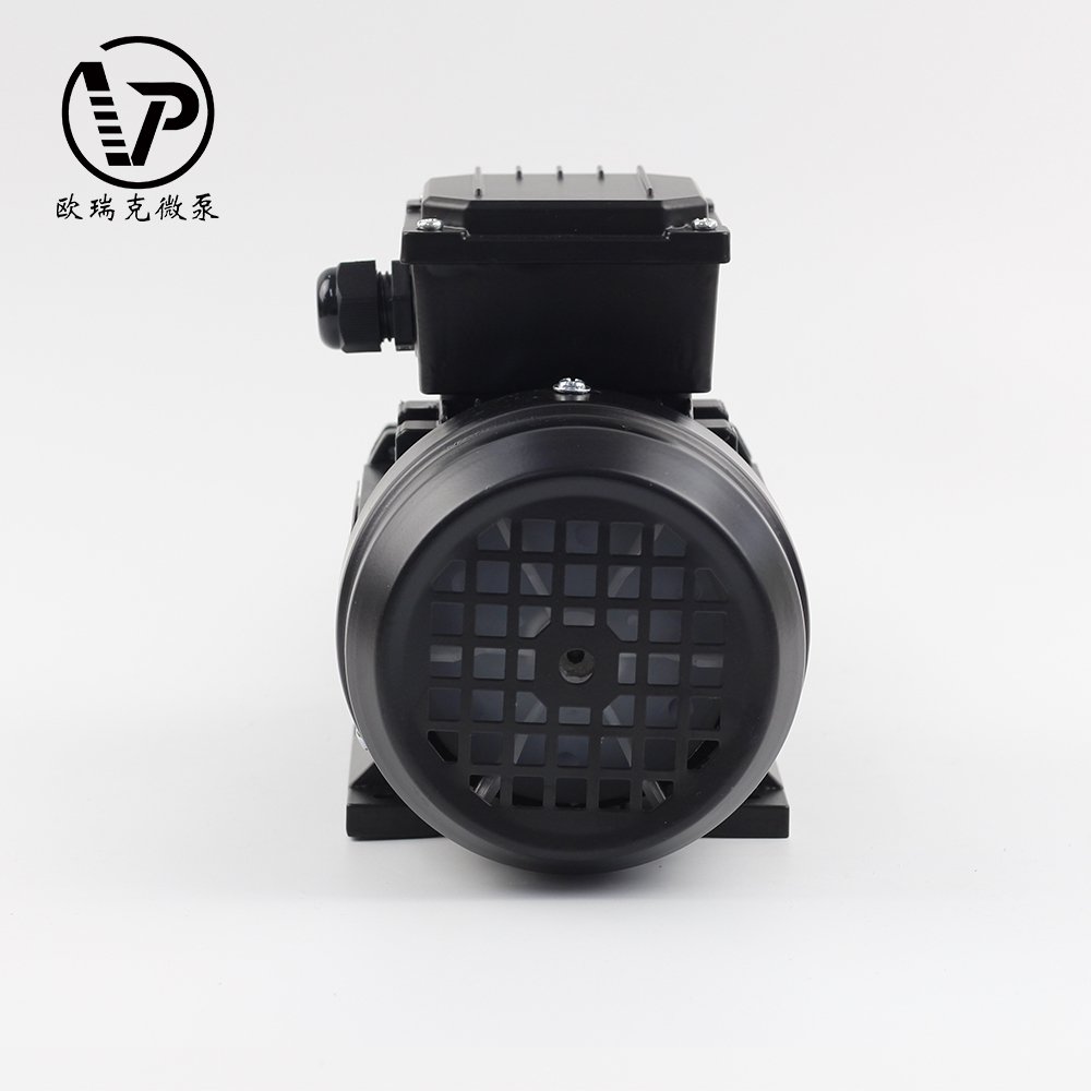 Manufactures professional DC brushless motor magnetic chemical mini stainless high pressure gear pump high performance stable