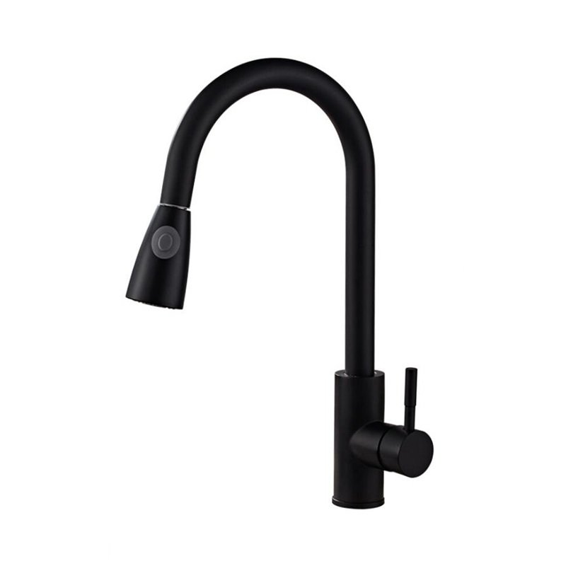 Contemporary 304 Lead-Free Stainless Steel Kitchen Mixer Economy Pull-Out Spray Valve Deck Mounted Sink Taps