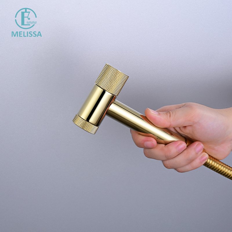 Melissa Modern Brass Bathroom Brushed gay toilet bidet spray shattaf set Handheld shower Angle Valve