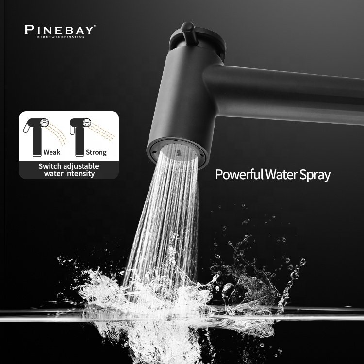 PINEBAY Black Plastic Handheld Bidet Toilet Sprayer Set Self Cleaning Bathroom Handheld Shower Head Sprayer for Toilet