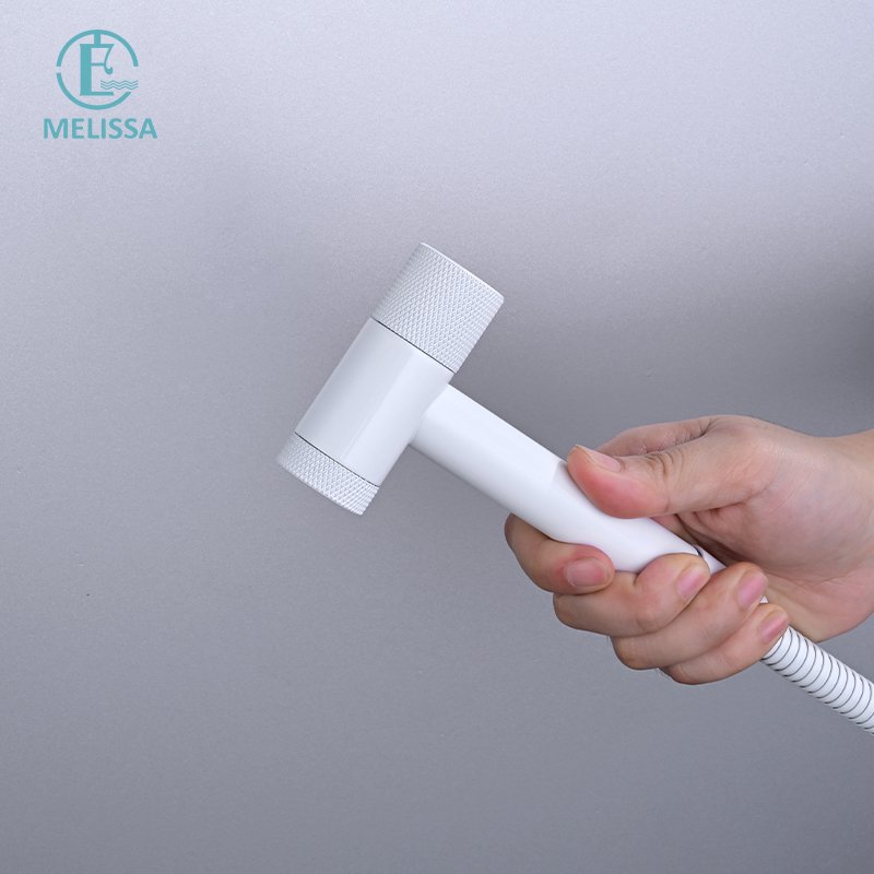 Melissa Modern Brass Bathroom Brushed gay toilet bidet spray shattaf set Handheld shower Angle Valve