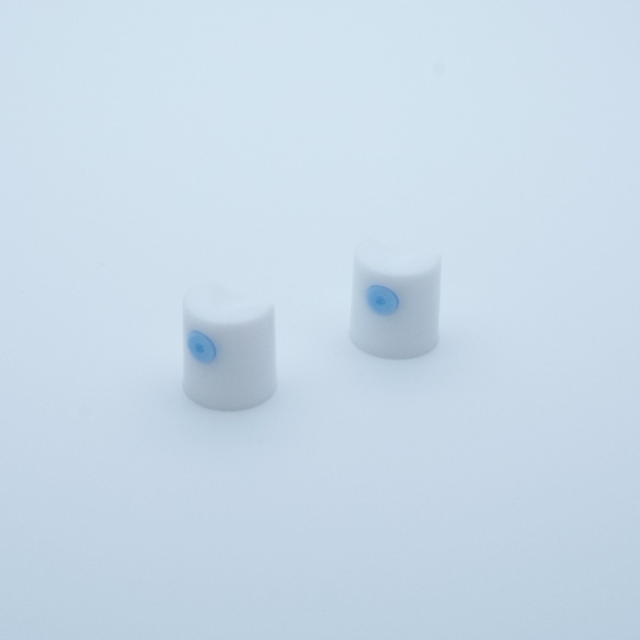Support air transportation White R type actuator with blue insert spray valve cap