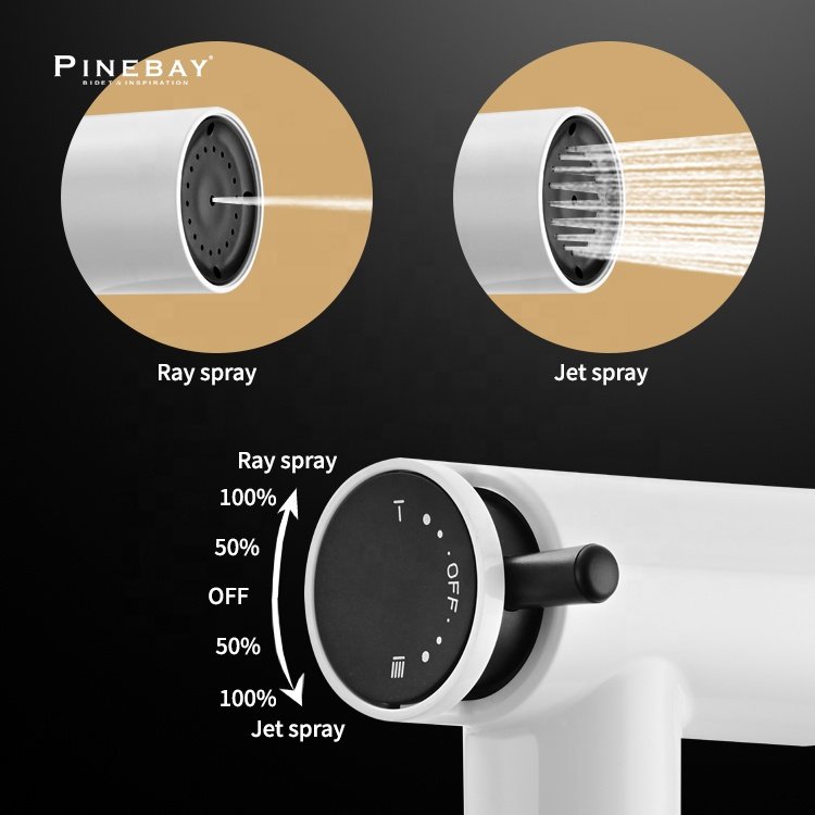 PINEBAY Luxury Bathroom Design Toilet Accessories abs Spray Set White and Black Handheld Bidet Sprayer for Personal Cleaning