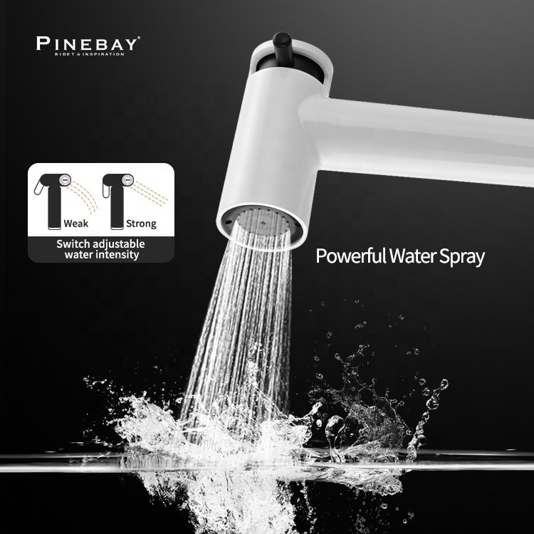 PINEBAY Luxury Bathroom Design Toilet Accessories abs Spray Set White and Black Handheld Bidet Sprayer for Personal Cleaning