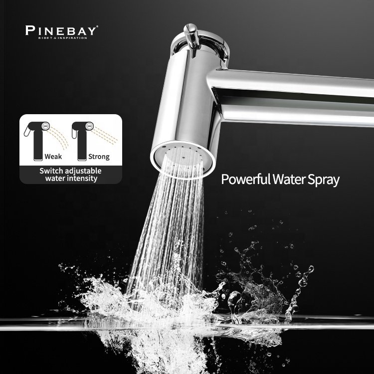 PINEBAY Double Function Shower Bidet Sprayer Set ABS Sprayer Toilet Adjustable Water Pressure Control Shattaf Hose Spray Gun