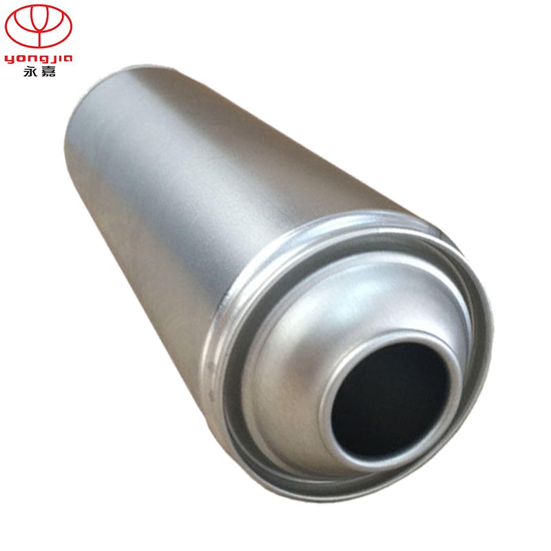 Customized Female Male Bag on Valve BOV Aerosol Spray Can for Packing Personal Care Medical Food Products