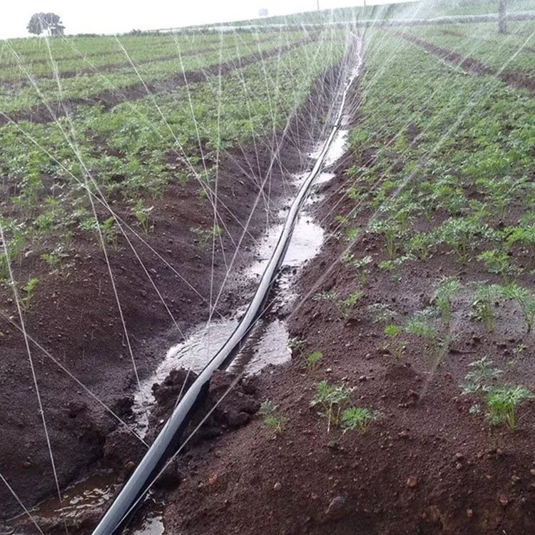 1 Hectare Spray Irrigation System PE Material Durable 32mm Rain Hose For Farmland Agricultural Irrigation System