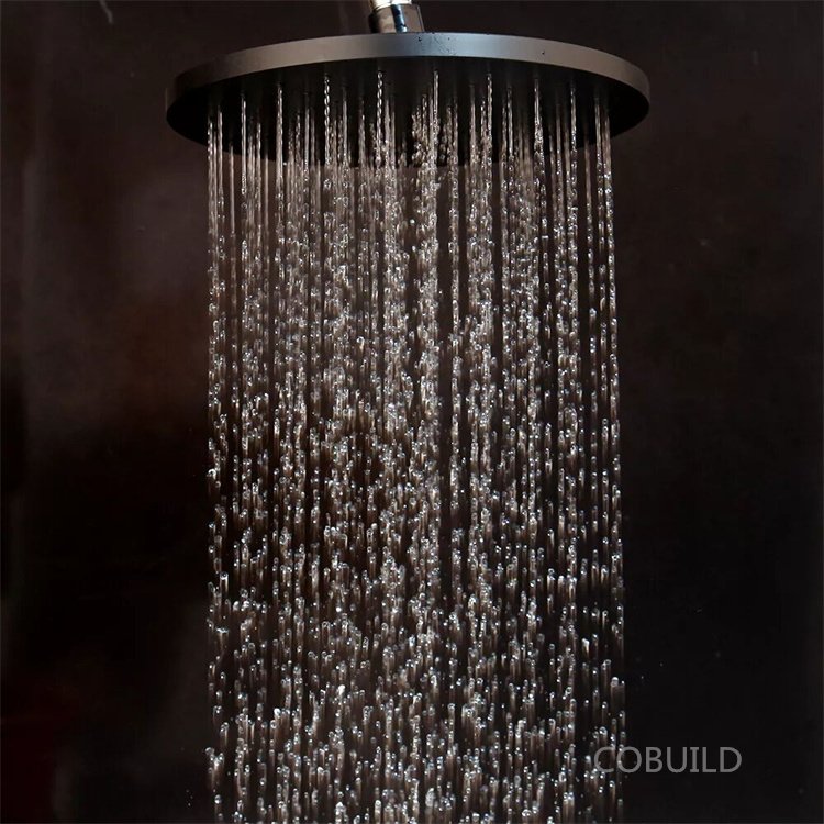 10 Inch Ceiling Mounted Shower Set Wall Mounted Hot and Cold Water Black Shower Mixer