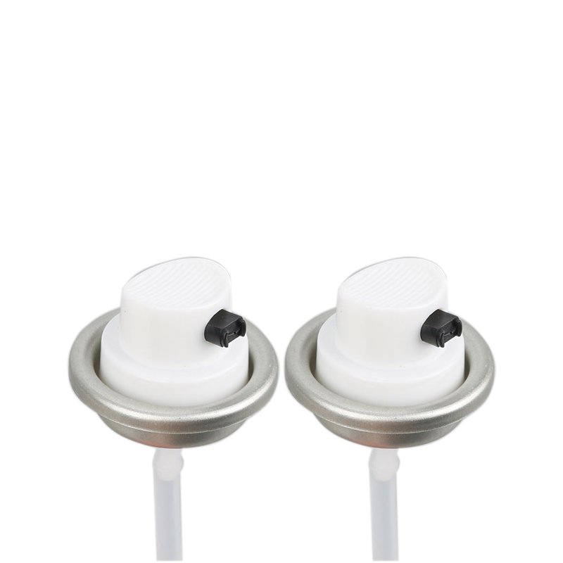 Female Aerosol Valve with Nozzle Spray Paint Valve 1 Inch Valve Factory