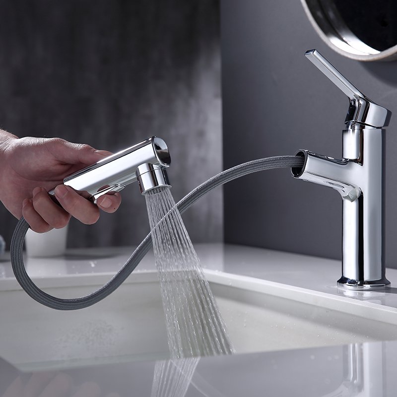 Single Lever Bathroom Basin Faucet Polished Vanity Sink Tap with Pull Out Spray and Face Washing Function