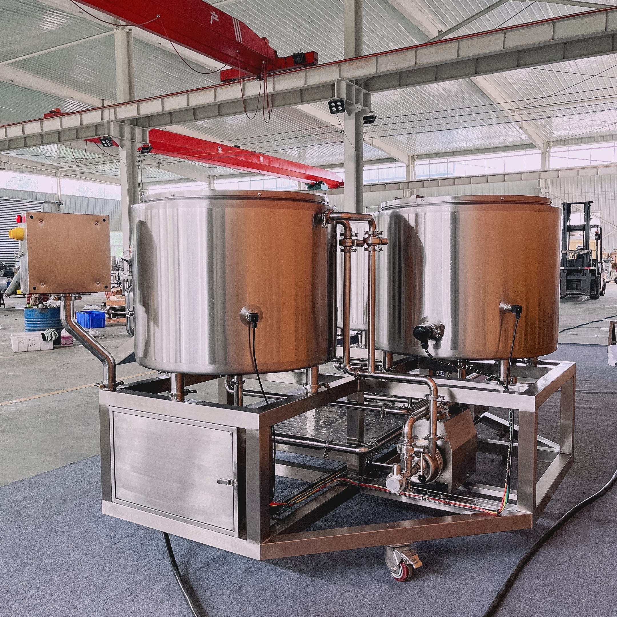 CARRY 300L Stainless Steel Beer Brewing Mashing Equipment High Quality Turnkey Solution Brewhouse For restaurant Brewpub