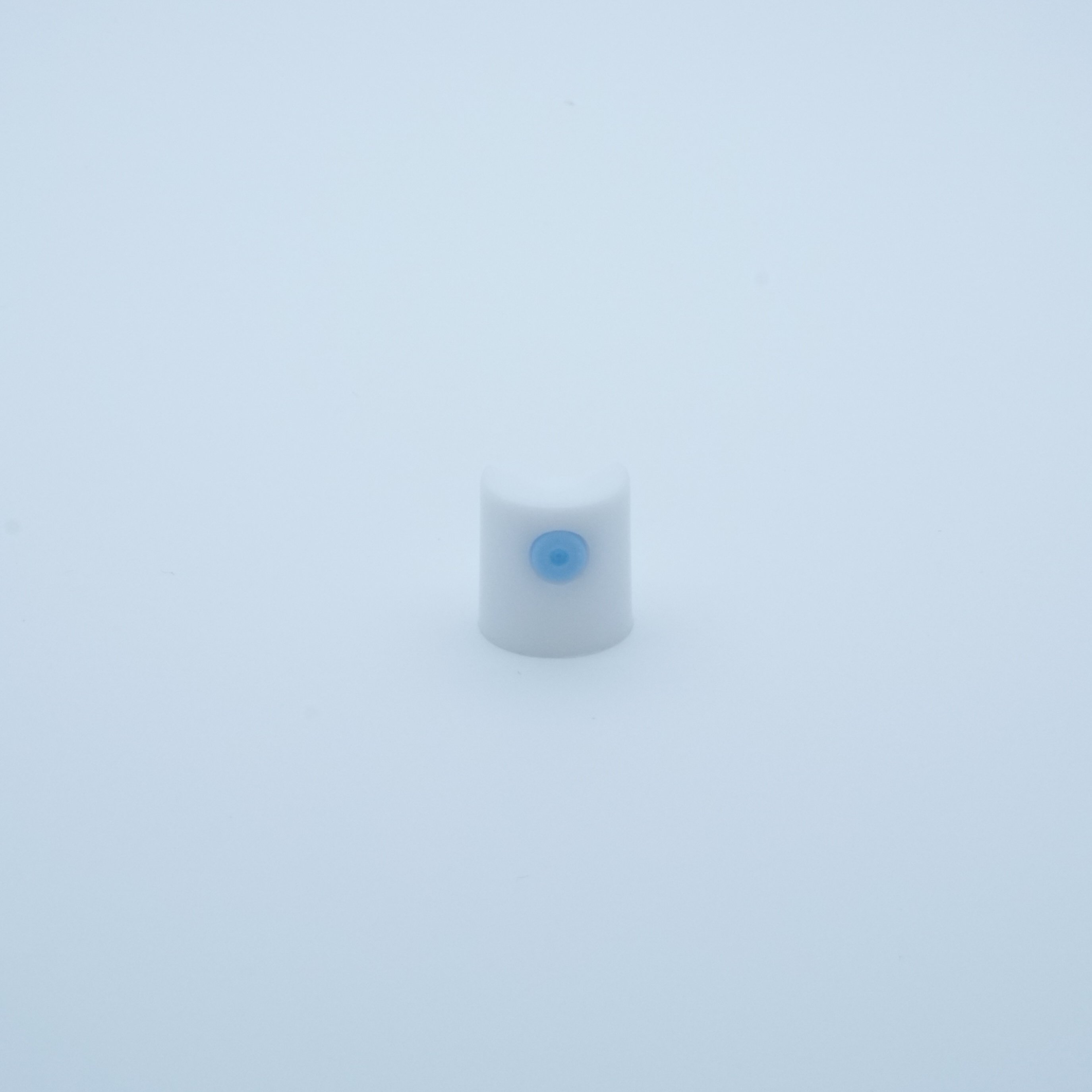 White plastic R button with blue insert for inch metered dosed valve personal care