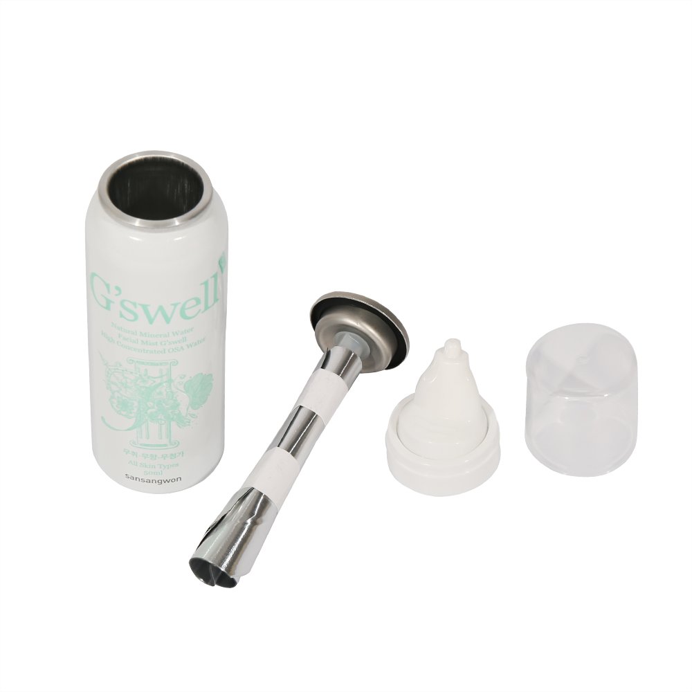 Custom Label BOV Valve with Bag Aluminum Can Aerosol