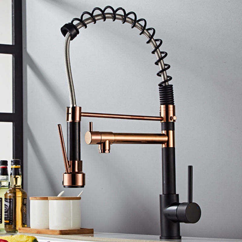 Modern Classic Kitchen Faucet Pull-Out Spring Sprayer with Dual Spout Brass Single Handle Kitchen Sink Taps Ceramic Valve Core
