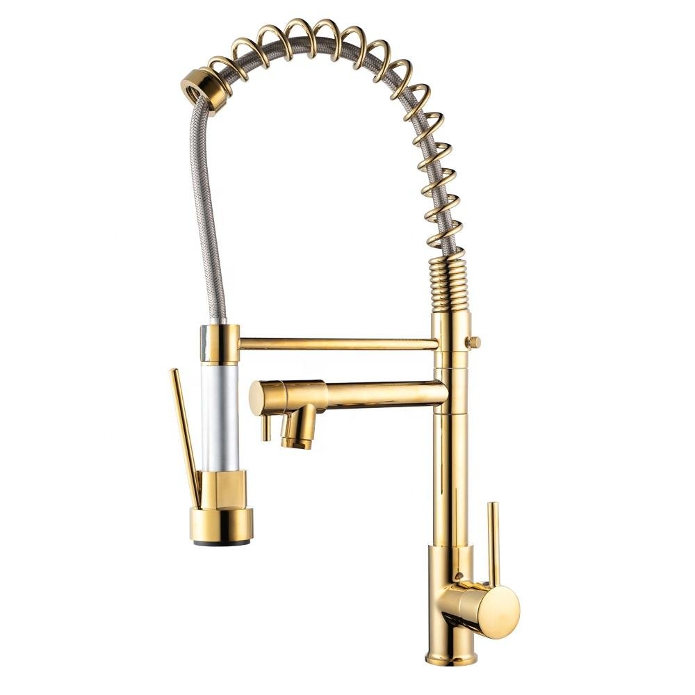 Modern Classic Kitchen Faucet Pull-Out Spring Sprayer with Dual Spout Brass Single Handle Kitchen Sink Taps Ceramic Valve Core