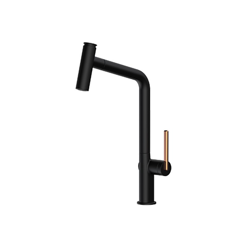 Sink Sprayer Brushed Nickel Stainless Steel Pull-Out l kitchen faucet 2 button sprayer Long Neck Sink Mixer Tap