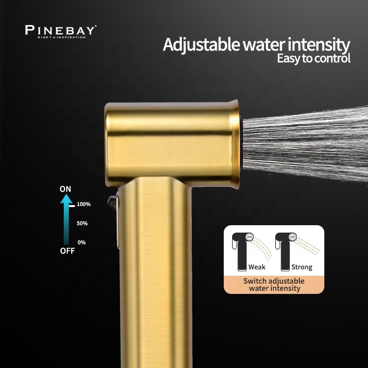 PINEBAY Modern Design Bathroom ABS Round Bidet Toilet Shower Gold Easy Control WC Shattaf Set Woman Handheld Bidet Sprayer Set