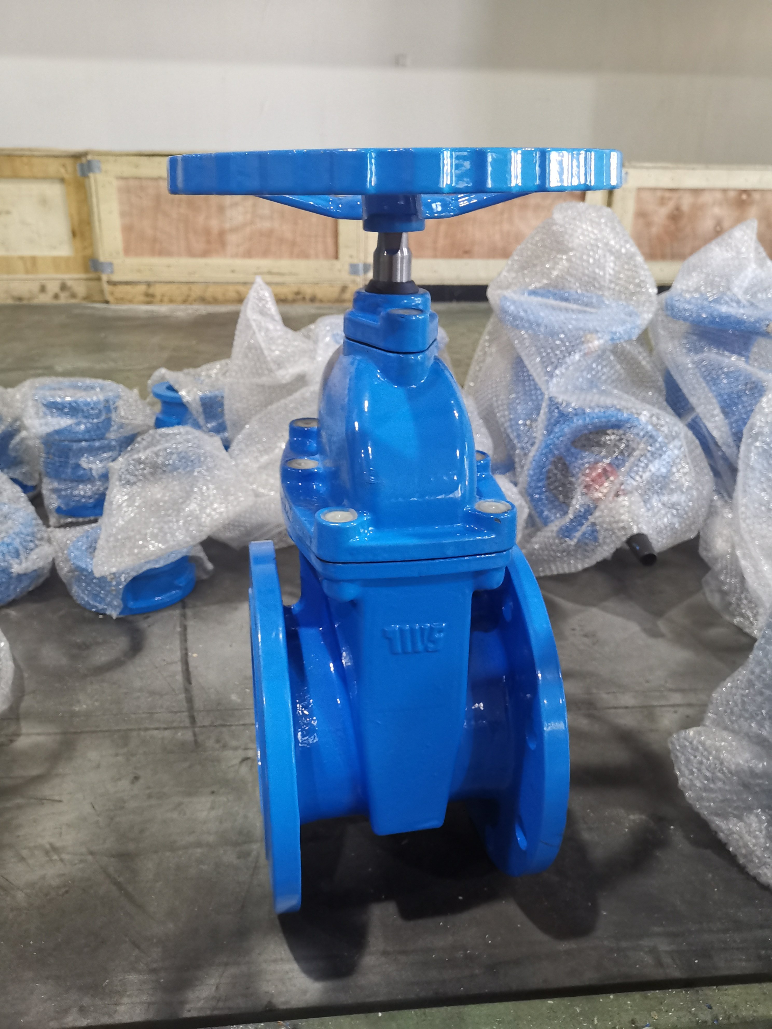 F4 Non-rising Stem Gate Valve DN150 Water Blue TWS Normal Temperature DI General Manual Knife Type Gate Valve Control Flow Water
