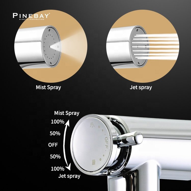 PINEBAY Unique Products to Sell Premium Bathroom Handheld ABS Plastic Shattaf Toilet Chrome Water Diaper Bidet Sprayer Set