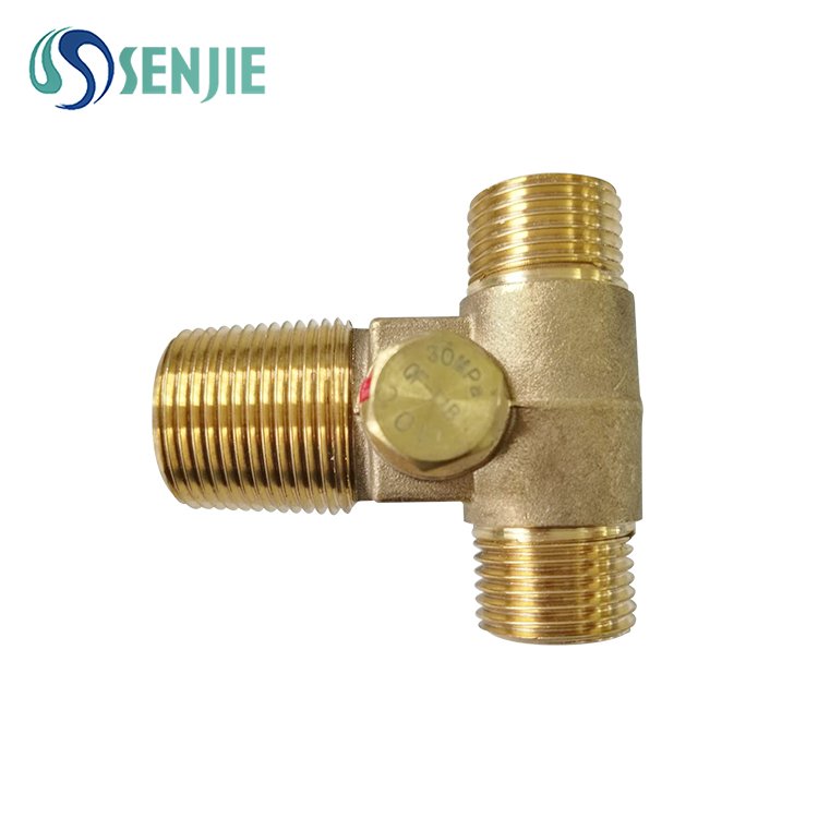 CNG CYLINDER VALVE