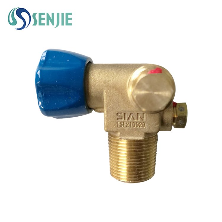CNG CYLINDER VALVE