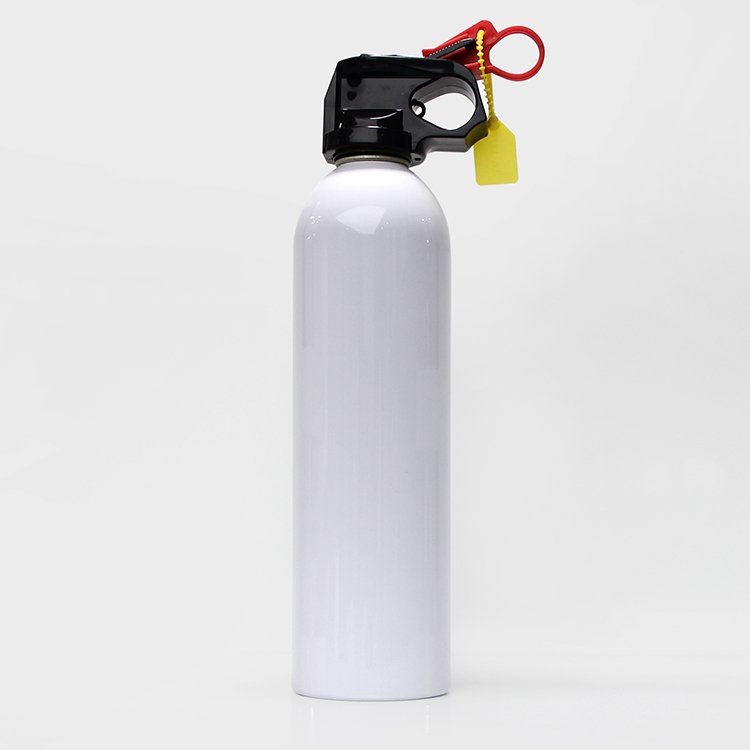 Lightweight hot sale aerosol can support for customization Aluminum printing co2 aerosol spray can