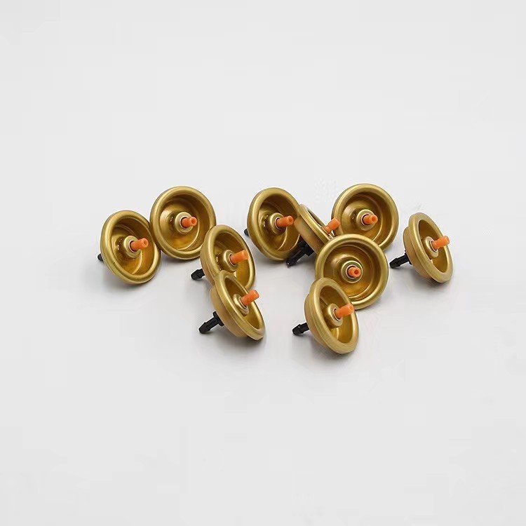 China Manufacturer Customize 1 inch Aerosol Can Spray Valve Spray Valve Aerosol Can Nozzle