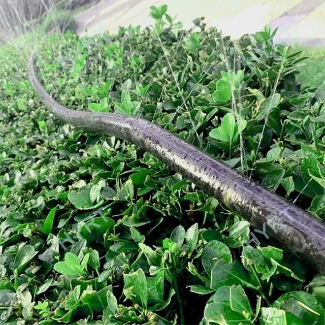 rain hose 32mm irrigation system