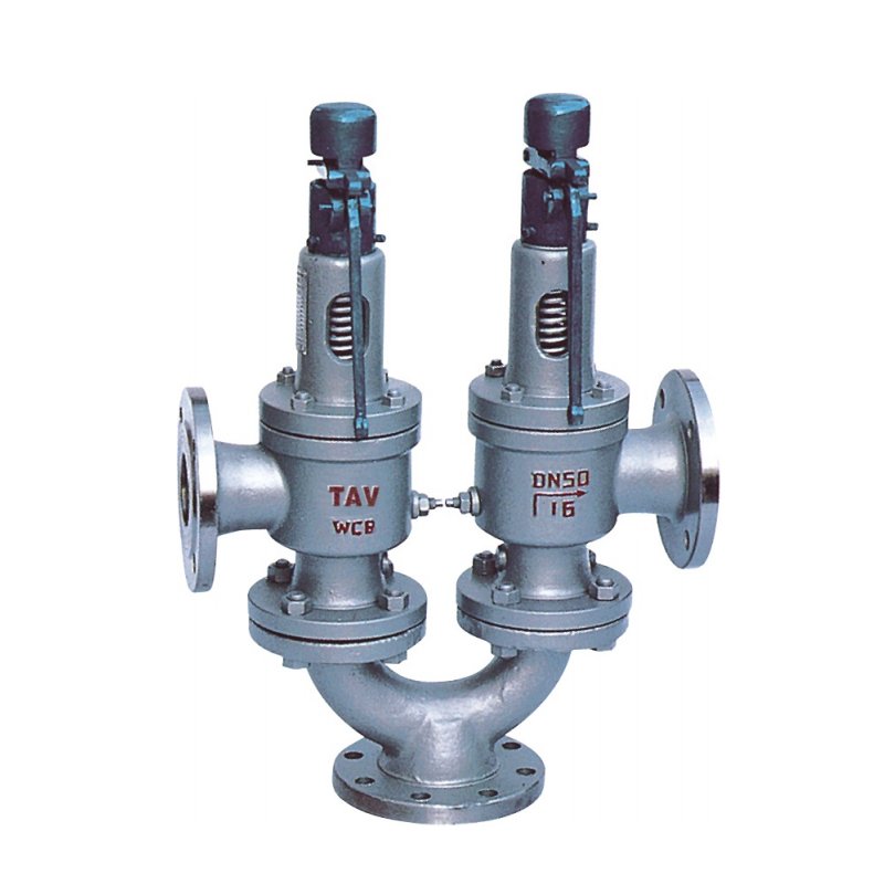 Twin spring type safety valve