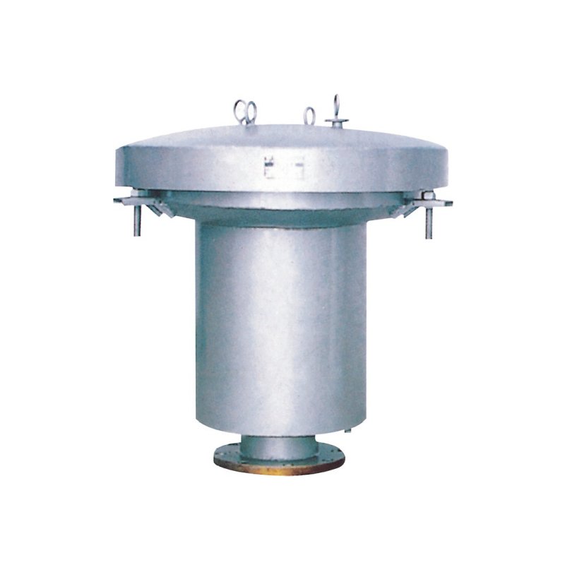 Twin spring type safety valve
