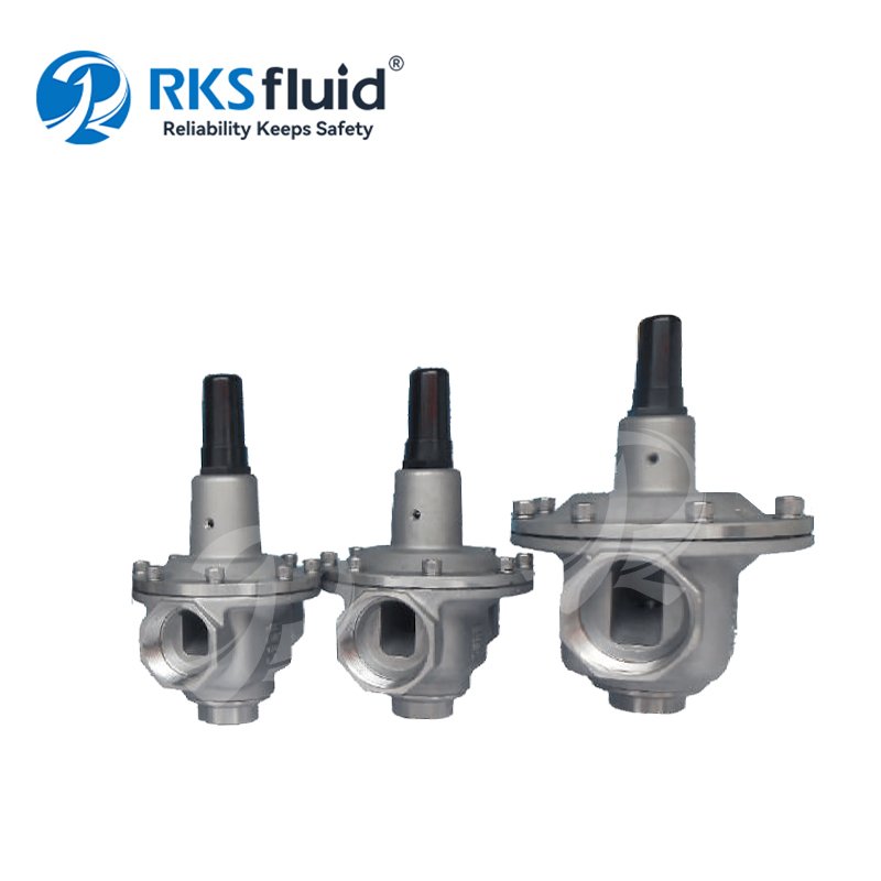 Short delivery time factory customized 2 direct acting pressure reducing valve PN101625