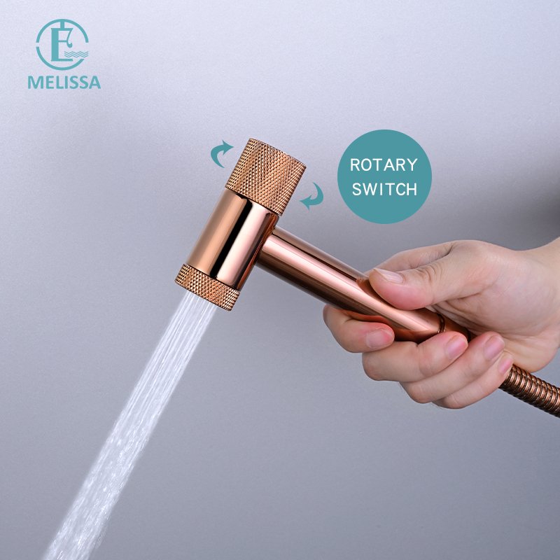 Melissa Modern Brass Bathroom Brushed gay toilet bidet spray shattaf set Handheld shower Angle Valve