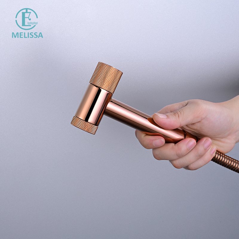 Melissa Modern Brass Bathroom Brushed gay toilet bidet spray shattaf set Handheld shower Angle Valve