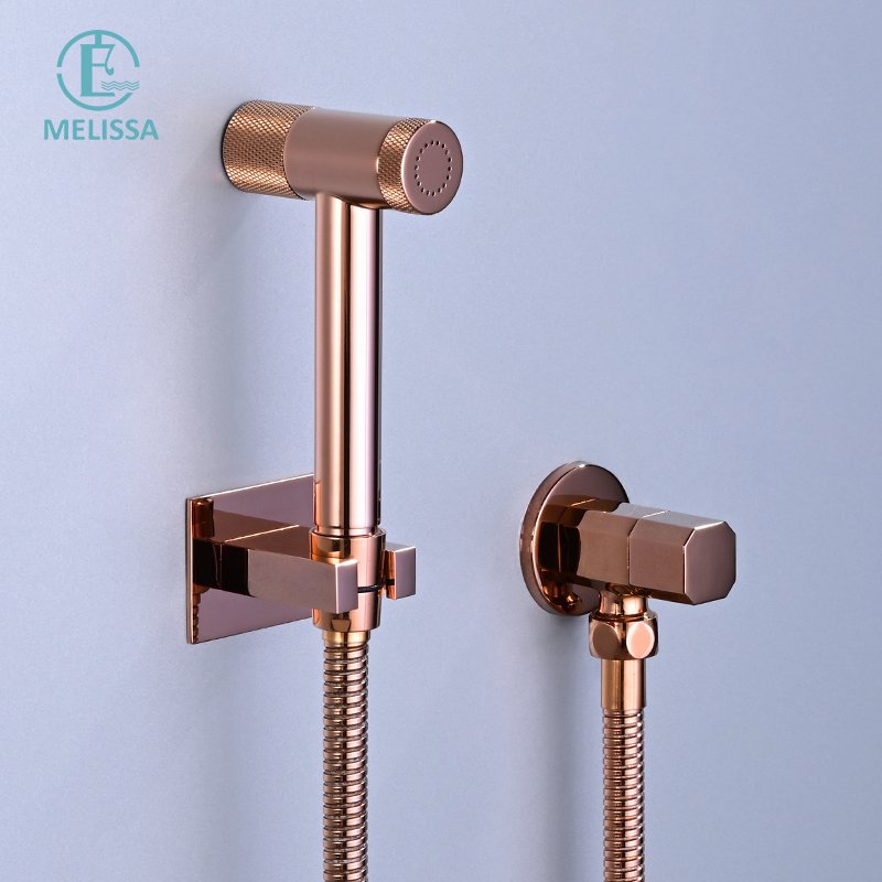 Melissa Modern Brass Bathroom Brushed gay toilet bidet spray shattaf set Handheld shower Angle Valve