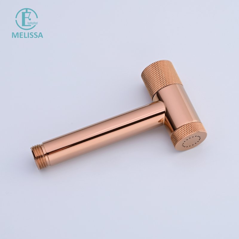 Melissa Modern Brass Bathroom Brushed gay toilet bidet spray shattaf set Handheld shower Angle Valve