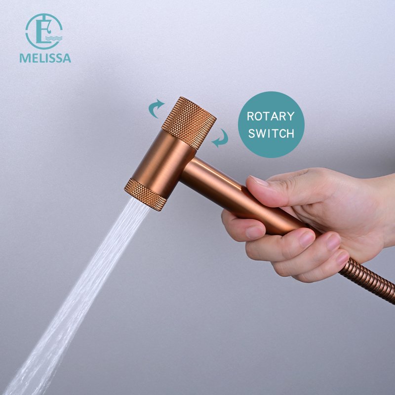 Melissa Modern Brass Bathroom Brushed gay toilet bidet spray shattaf set Handheld shower Angle Valve