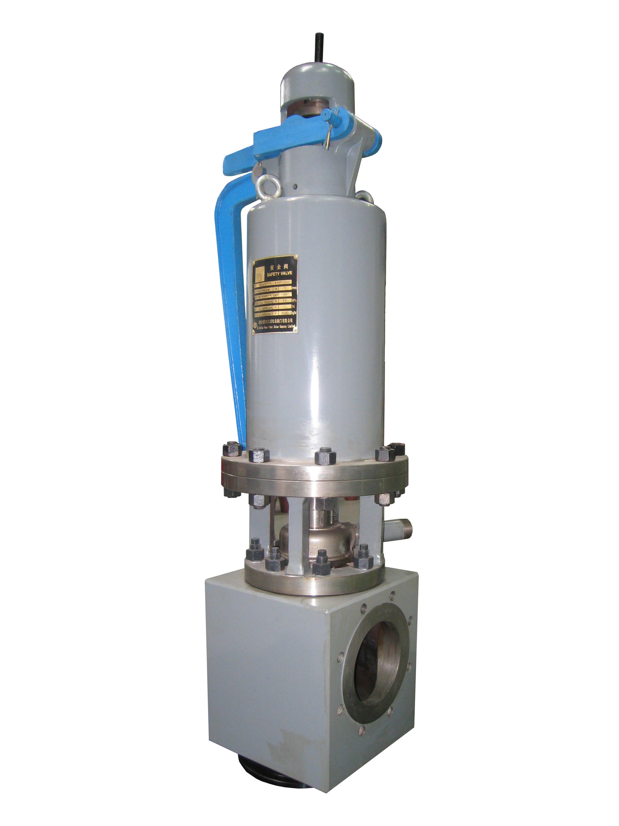 Safety valve power plant valve