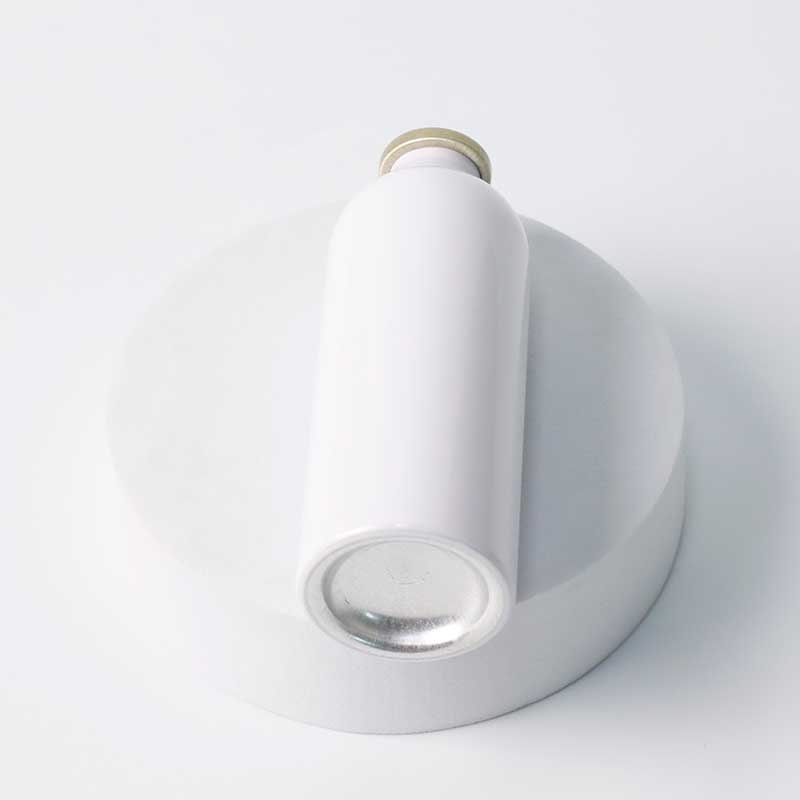 Empty Paint Aerosol Spray Can With Bag On Valve Aluminium Can Manufacturer Custom