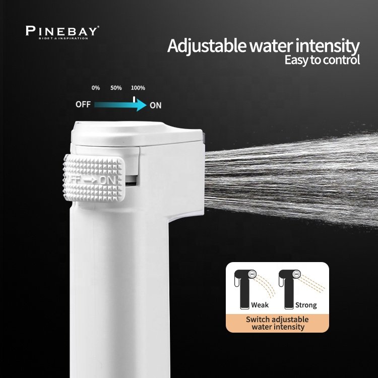 PINEBAY Toilet Cold Water Jet Shattaf Watermark Bidet Spray Muslim Handheld Bathroom ABS Plastic Sprayer Set with Shower Hose
