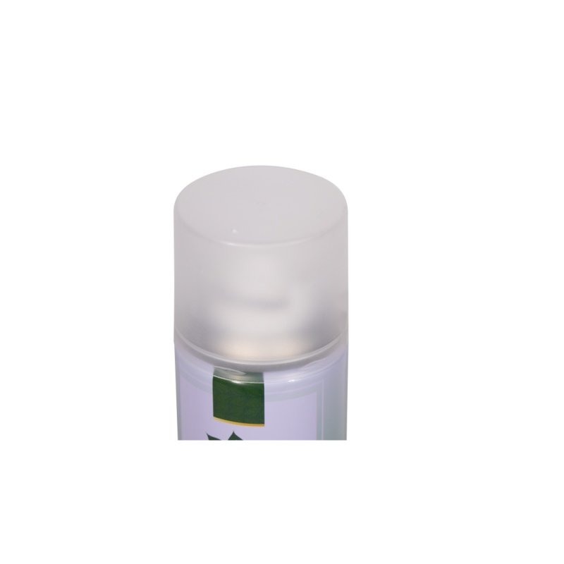 Household Car Cleaner Fresh Air Car Scent Fragrant Spray Car Air Vent Perfume Odor Eliminator Spray