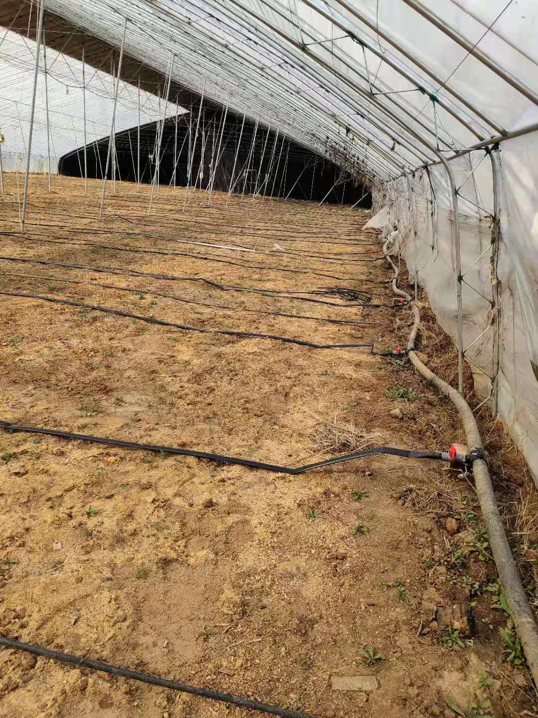 16mm drip tape 0.3mm thickness flat drip irrigation pipe Farm irrigation system for agriculture corn irrigation