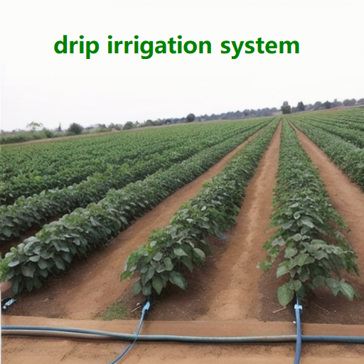 16mm drip tape 0.3mm thickness 30cm drip space flat drip irrigation pipe Farm irrigation system for agriculture corn irrigation